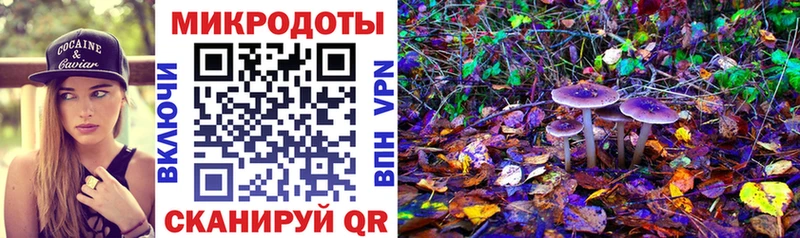 Галлюциногенные грибы Cubensis  Весьегонск 